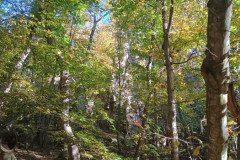 IMG_20251018_084038801_HDR