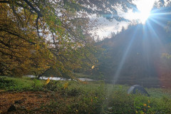 IMG_20251018_091036982_HDR