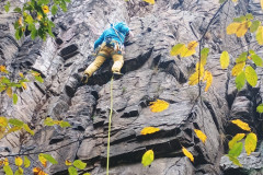 IMG_20251018_093549561