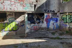 20250507_084920