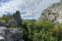 IMG_6987