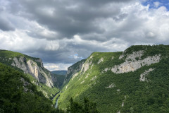 IMG_7521