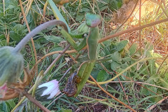 IMG_20251027_084135036_HDR