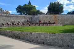 IMG_20251027_114030133_HDR