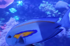 IMG_20251027_131032354_MP