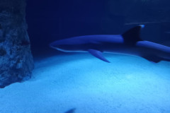 IMG_20251027_131042864_MP