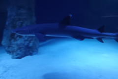 IMG_20251027_131043696_MP