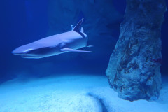 IMG_20251027_131100173