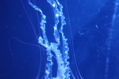 IMG_20251027_131437830_MP