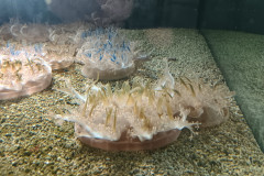 IMG_20251027_131445025_HDR