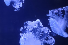 IMG_20251027_131515067_HDR