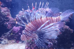 IMG_20251027_131801239_MP