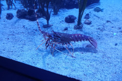 IMG_20251027_135711282_MP