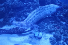 IMG_20251027_140543090_MP