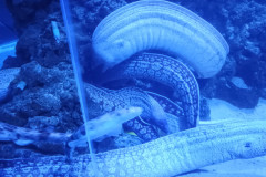 IMG_20251027_140601986_MP