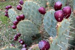 WhatsApp-Image-2025-10-31-at-10.44.53-1