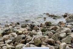 WhatsApp-Image-2025-10-31-at-10.44.54-42