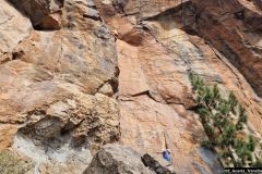 02_Guaria_Transiberiana-6b-3