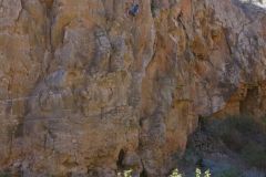 04_Planeta-Zarza_El-grandote-6a-3