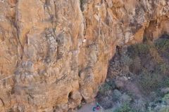 04_Planeta-Zarza_Guajolote-7a-2