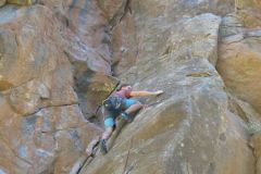 04_Planeta-Zarza_Silverback-gorilla-6b-1